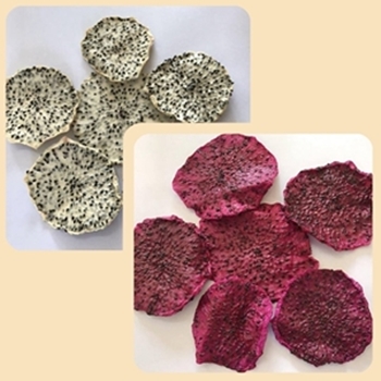 dried_soft_dragon_fruit_slices _pitahaya