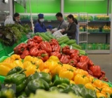 Fruit, vegetables exports up 7.9 percent in April